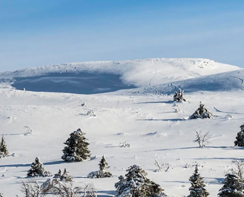 Vinterfjell